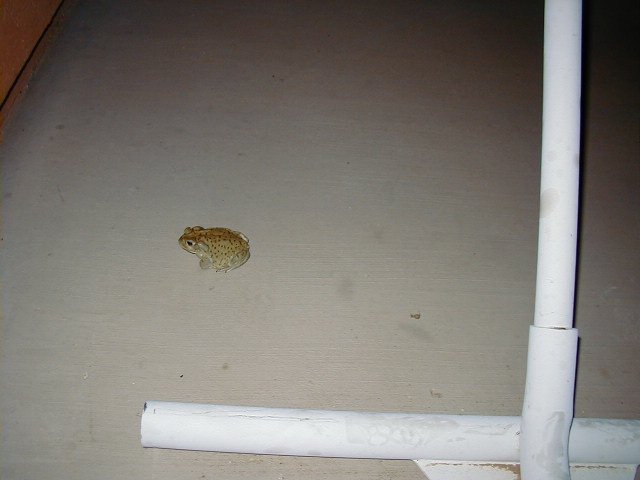 redo1999mandep9030061.jpg