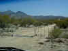 sky002-P1010018.JPG (58084 bytes)
