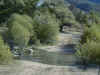 sky009-P1010052.JPG (63183 bytes)