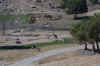 animprk_4684.JPG (84668 bytes)