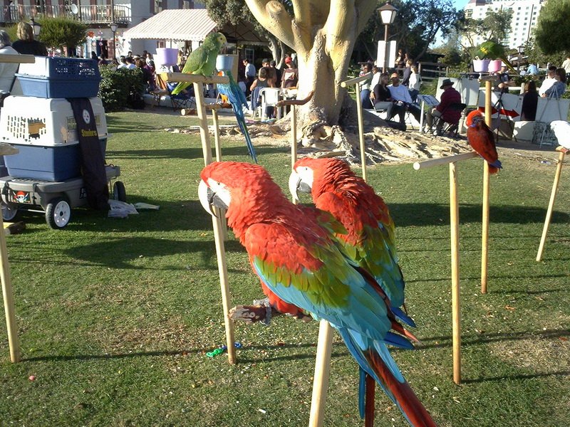 lulup1000398.jpg