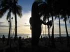 waikikiimg_4465_small.jpg