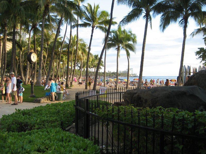 waikikiimg_4470.jpg