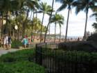 waikikiimg_4470_small.jpg