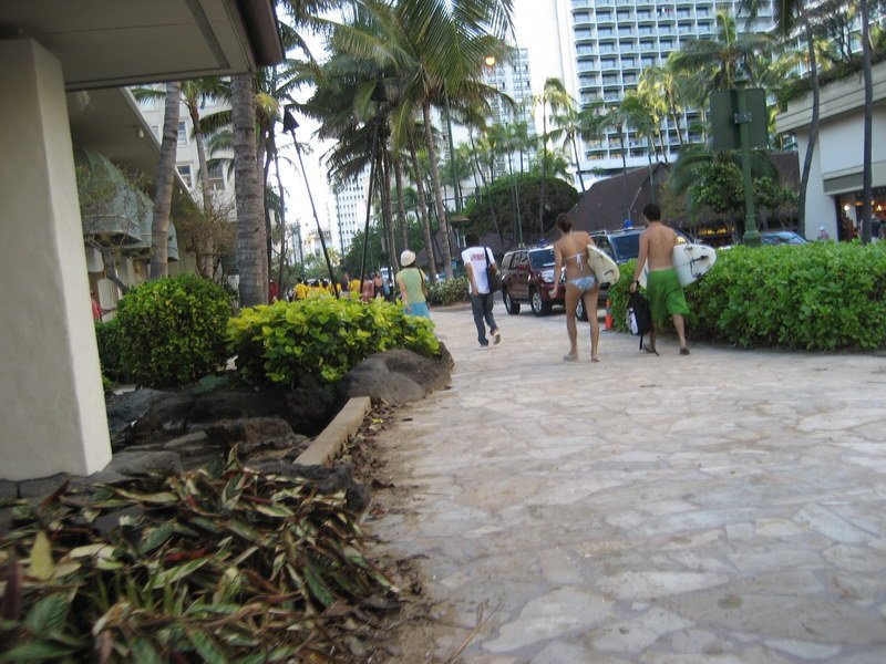 waikikiimg_4473.jpg