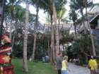 waikikiimg_4479_small.jpg