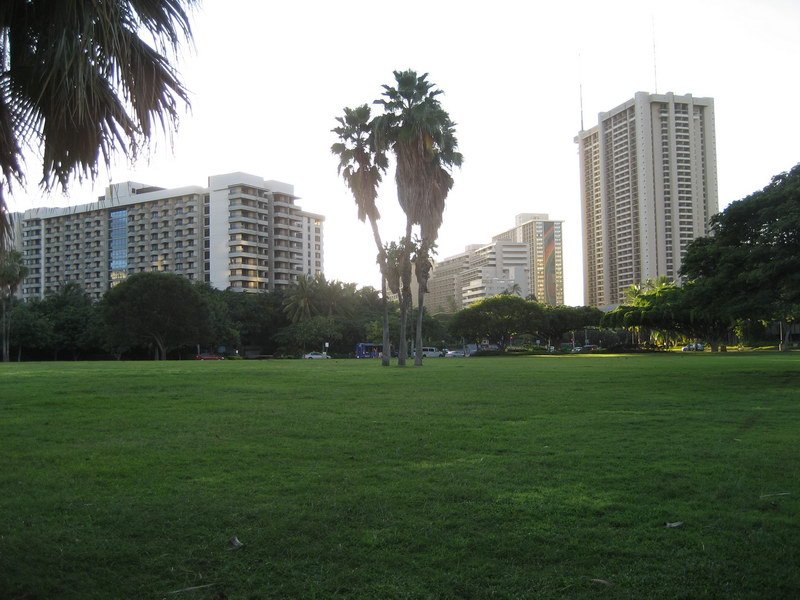 waikikiimg_4480.jpg