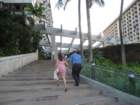 waikikiimg_4481_small.jpg