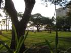 waikikiimg_4497_small.jpg