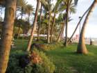 waikikiimg_4509_small.jpg