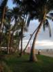 waikikiimg_4513_small.jpg