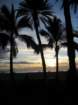 waikikiimg_4520_small.jpg