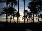 waikikiimg_4524_small.jpg