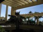 waikikiimg_4541_small.jpg