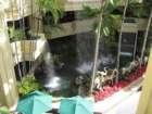 waikikiimg_4544_small.jpg