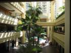 waikikiimg_4558_small.jpg