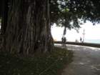 waikikiimg_4566_small.jpg