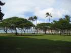 waikikiimg_4592_small.jpg