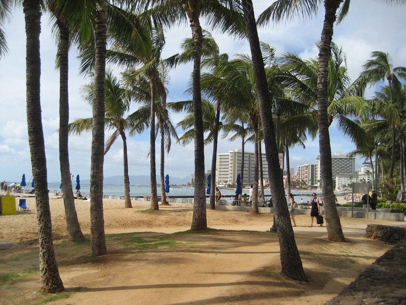 waikikiimg_4593.jpg