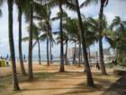 waikikiimg_4593_small.jpg