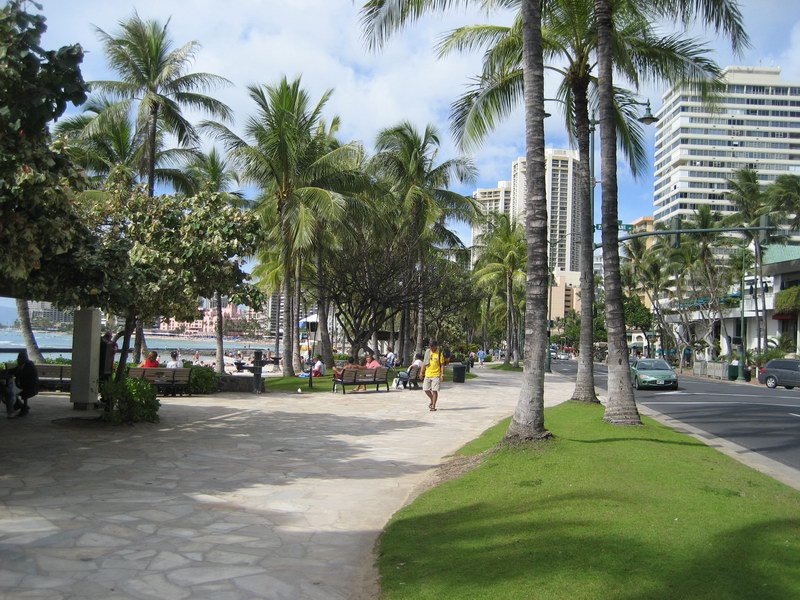 waikikiimg_4597.jpg