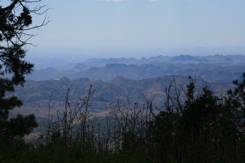 ajazimg_9860.jpg