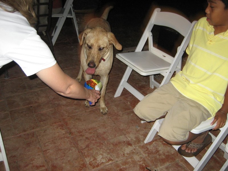 missyimg_5713.jpg