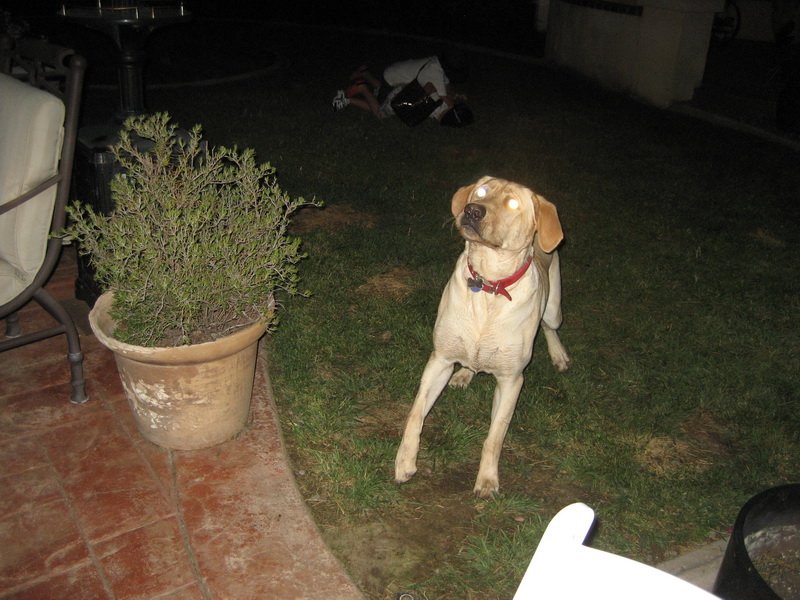 missyimg_5755.jpg
