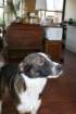 smdaimg_3540_small.jpg