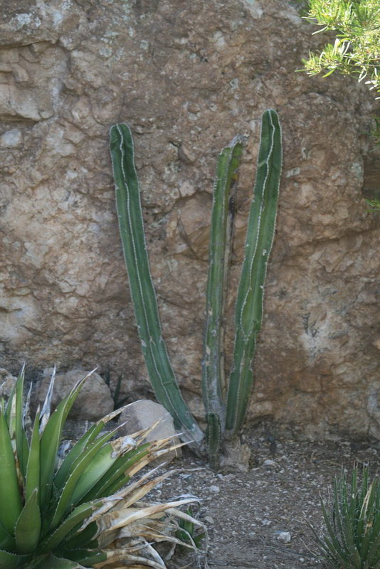 ajazcbimg_6202.jpg