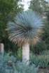 ajazcbimg_6285_small.jpg