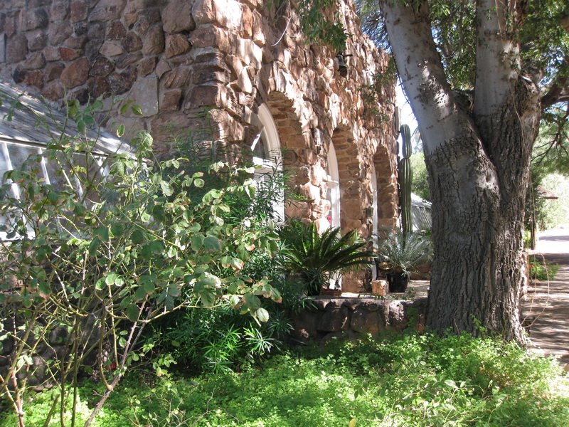 ajaztjimg_1844.jpg