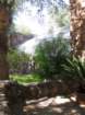 ajaztjimg_1847_small.jpg