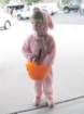 haloween_img_1973_small.jpg