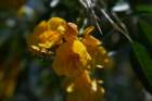 apr09img_4083_small.jpg