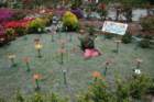 flowers_img_5521_small.jpg