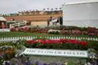 flowers_img_5539_small.jpg