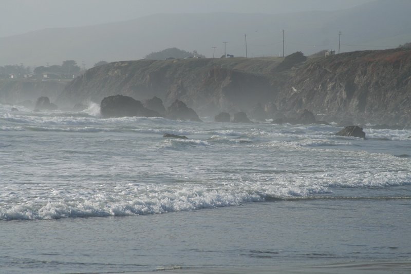 petalumaimg_5776.jpg