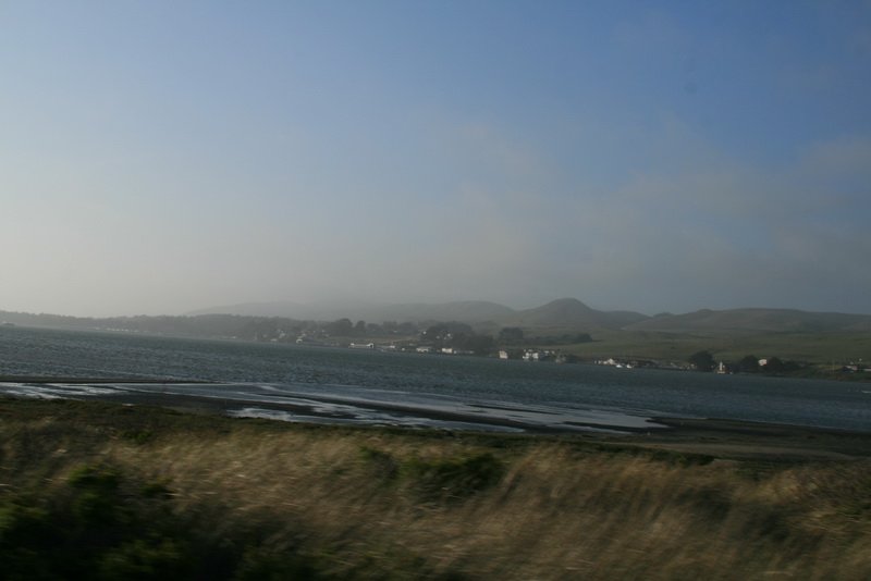 petalumaimg_5795.jpg