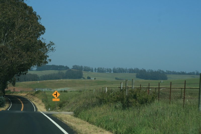 petalumaimg_5826.jpg