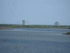 kennedyscimg_2511_small.jpg