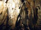 cavedaytonimg_3715_small.jpg