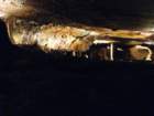 cavedaytonimg_3716_small.jpg