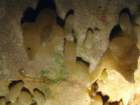 cavedaytonimg_3739_small.jpg