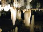 cavedaytonimg_3756_small.jpg