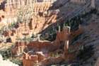 brycetjimg_1110_small.jpg