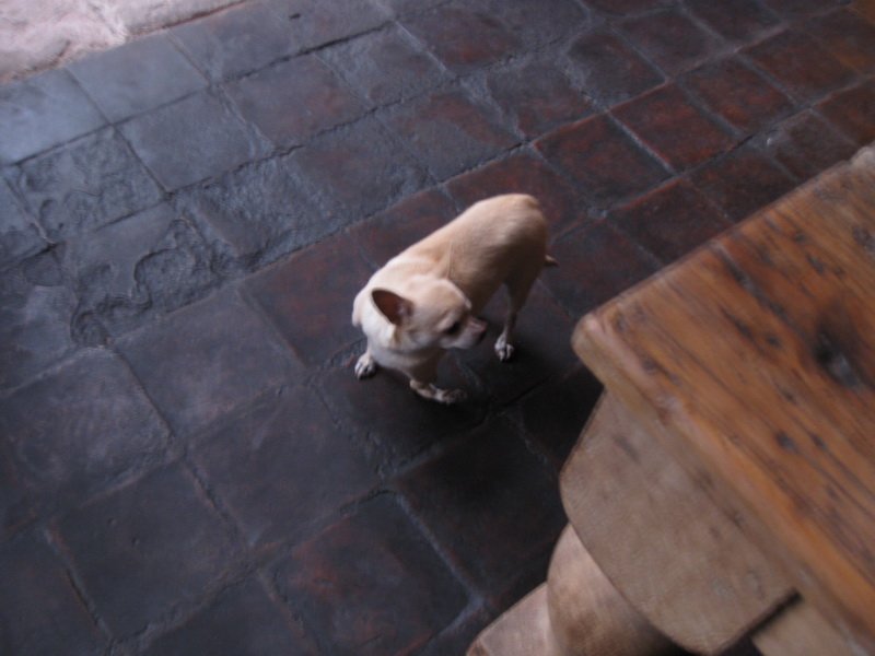 d01frismdatjimg_4337.jpg