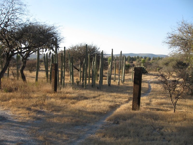 d03sunsmdatjimg_4460.jpg