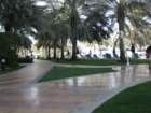 uaeimg_4722_small.jpg