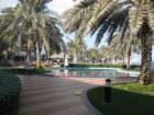 uaeimg_4723_small.jpg